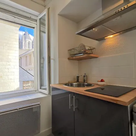 Chaleureux, Vue Sur La Maison Adam Apartman Angers